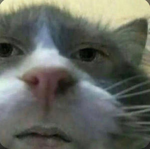 Meet your Posher, Jacky